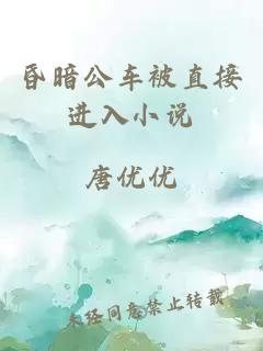 昏暗公车被直接进入小说