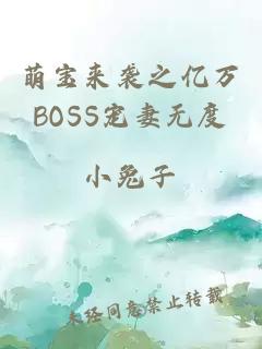 萌宝来袭之亿万BOSS宠妻无度