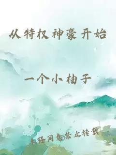 从特权神豪开始