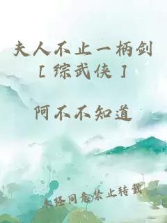 夫人不止一柄剑［综武侠］