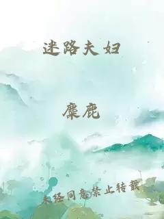 迷路夫妇