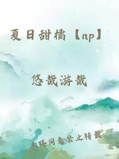 夏日甜橘【np】
