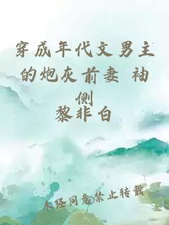 穿成年代文男主的炮灰前妻 袖侧