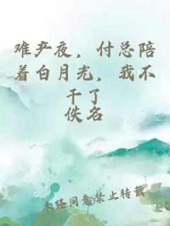 难产夜，付总陪着白月光，我不干了
