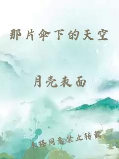 那片伞下的天空