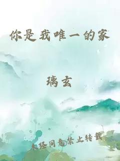 你是我唯一的家