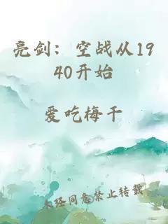亮剑：空战从1940开始