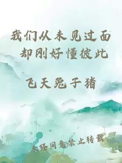 我们从未见过面 却刚好懂彼此