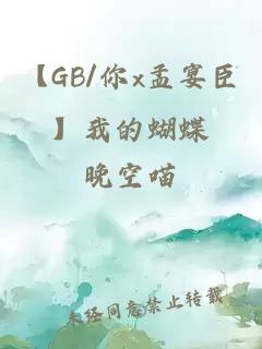 【GB/你x孟宴臣】我的蝴蝶