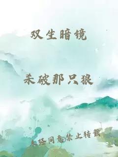 双生暗镜