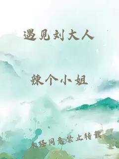 遇见刘大人