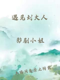 遇见刘大人