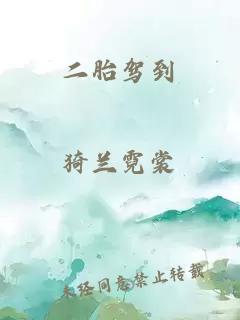 二胎驾到