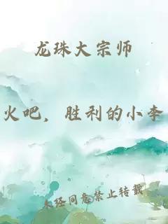 龙珠大宗师