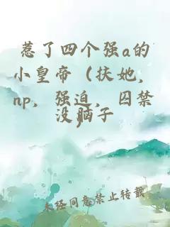 惹了四个强a的小皇帝（扶她，np，强迫，囚禁）