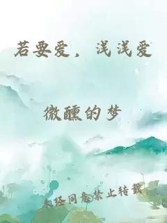 若要爱，浅浅爱
