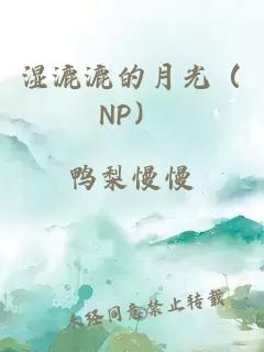 湿漉漉的月光（NP）