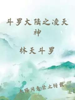 斗罗大陆之凌天神