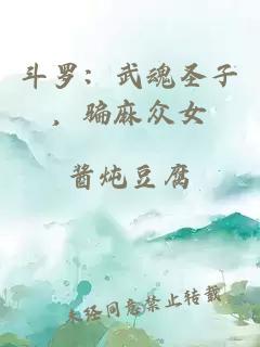 斗罗：武魂圣子，骗麻众女