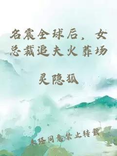 名震全球后，女总裁追夫火葬场