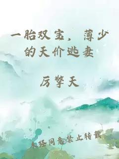 一胎双宝，薄少的天价逃妻