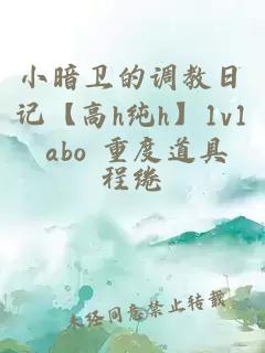 小暗卫的调教日记【高h纯h】1v1 abo 重度道具