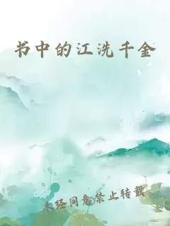 书中的江洗千金