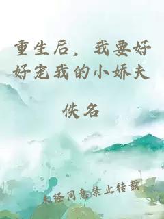 重生后，我要好好宠我的小娇夫