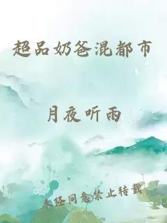 超品奶爸混都市