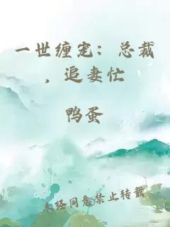一世缠宠：总裁，追妻忙