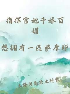 指挥官她千娇百媚