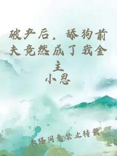 破产后，舔狗前夫竟然成了我金主