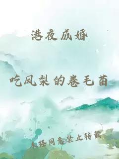 港夜成婚
