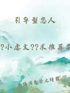 引导型恋人