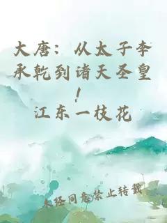 大唐：从太子李承乾到诸天圣皇！