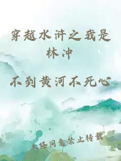 穿越水浒之我是林冲