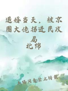 退婚当天，被京圈大佬拐进民政局