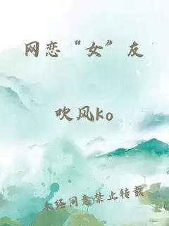 网恋“女”友
