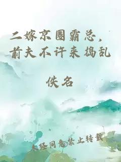 二嫁京圈霸总，前夫不许来捣乱