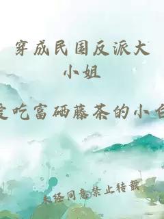 穿成民国反派大小姐