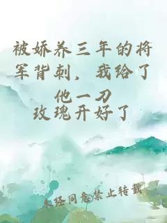 被娇养三年的将军背刺，我给了他一刀