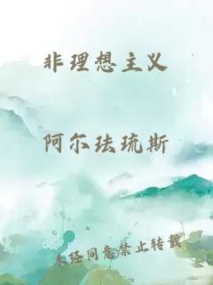 非理想主义