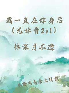 我一直在你身后（兄妹骨2v1）