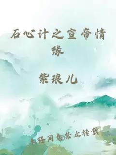 石心计之宣帝情缘