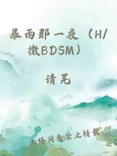 暴雨那一夜（H/微BDSM）