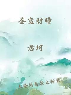 鉴宝财瞳