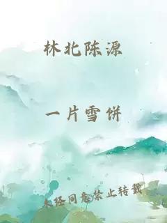 林北陈源