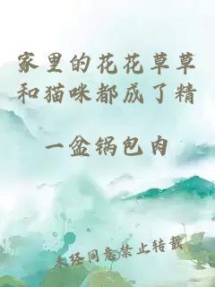 家里的花花草草和猫咪都成了精