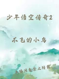 少年悟空传奇2