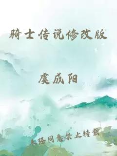 骑士传说修改版